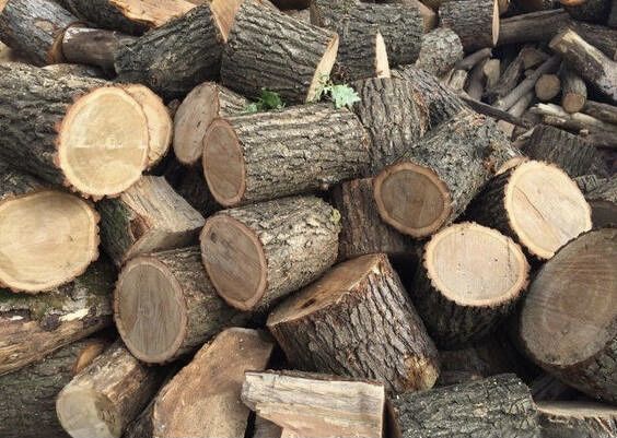 Продам дубовые дрова