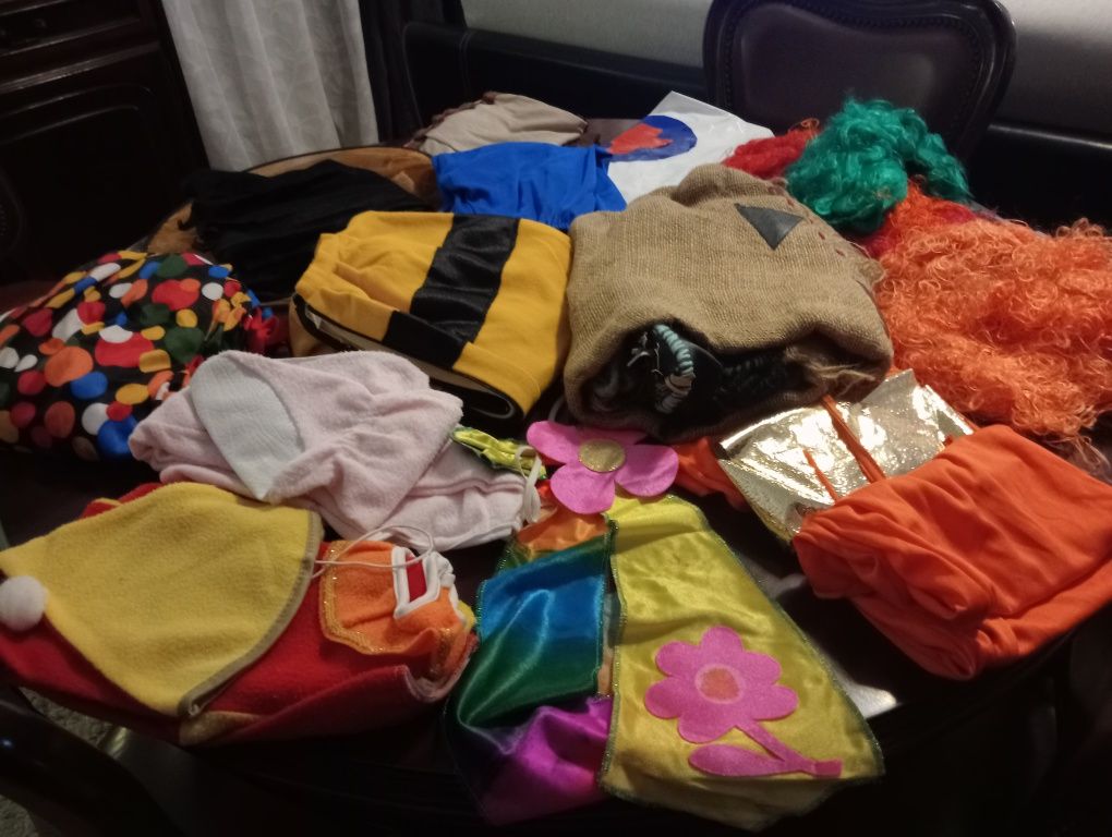 Diversos fatos carnaval