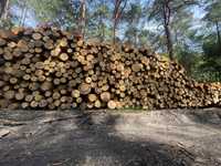 Drewno opałowe sosna 200zł/mp transport gratis
