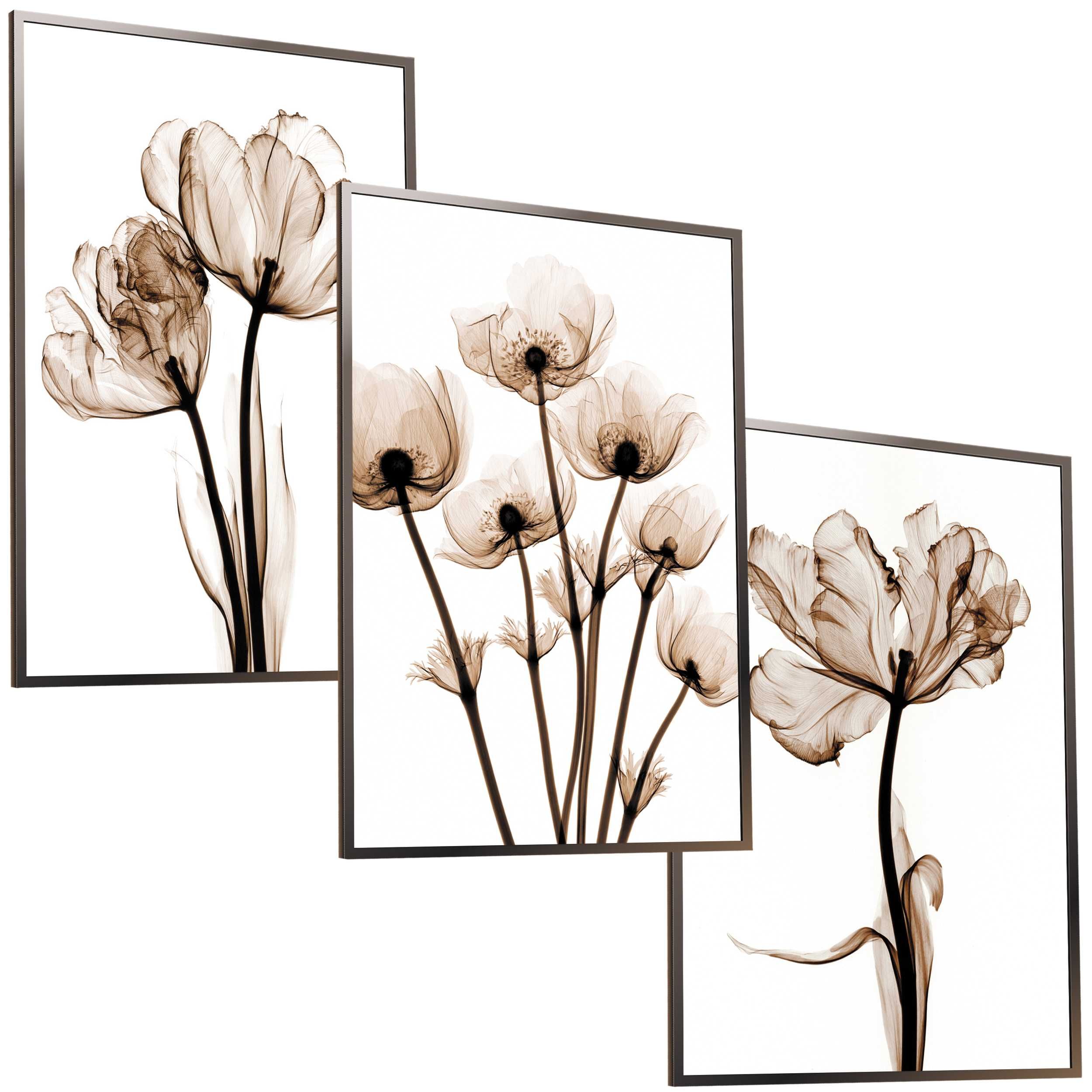 3x 50x40 A2 ZESTAW OBRAZ W RAMIE PLAKATY RAMKA boho kwiaty natura