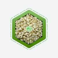Семена Кукуруза белый попкорн  микрозелень/микрогрин