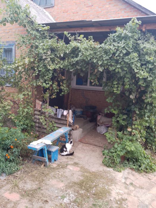 Продам будинок .