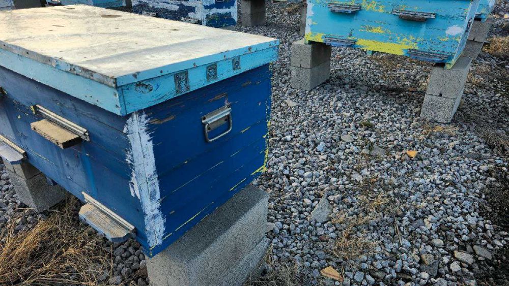 Продам вулики-лежаки нау 16, 28 рамок Б/в. Товщина стінки 45 - 50мм,