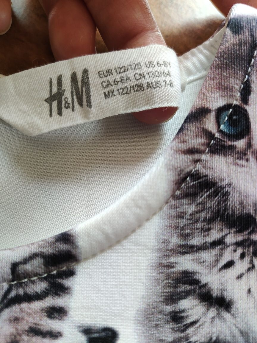 Sukienka z kotkami H&M 122