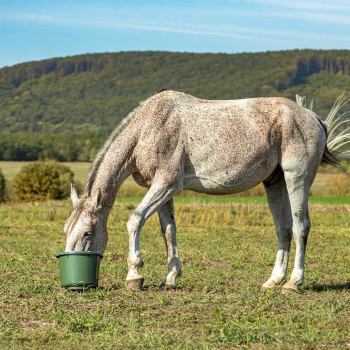 Wiadro z tworzywa sztucznego, 12 l, oliwkowe, Kerbl