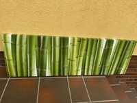 Duży obraz na płótnie bambus bambusy zielony