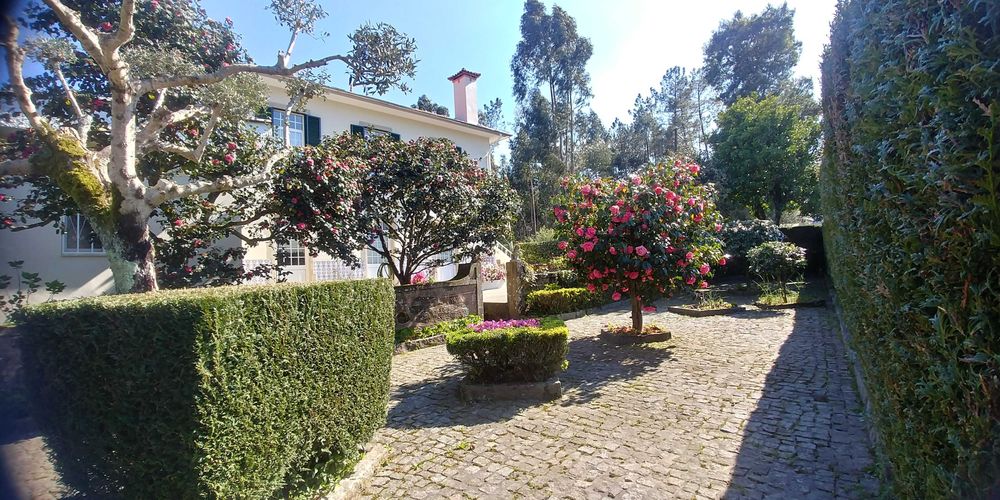 Moradia T4 Isolada com 11.000 m² de Terreno em Mansores, Arouca