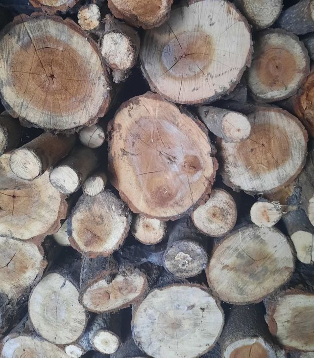 Дрова сухі 500грн куб