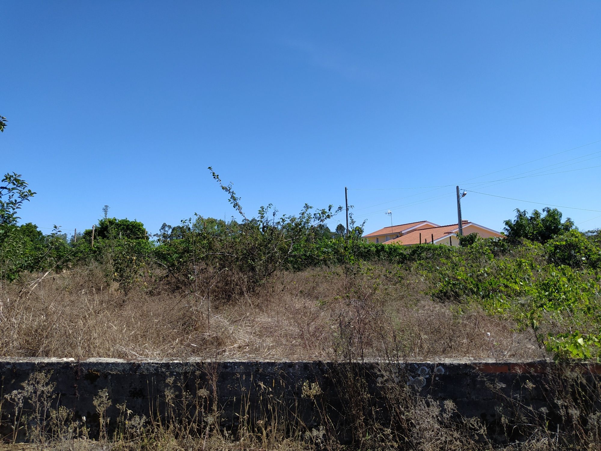 Terreno Cantanhede Cordinhã