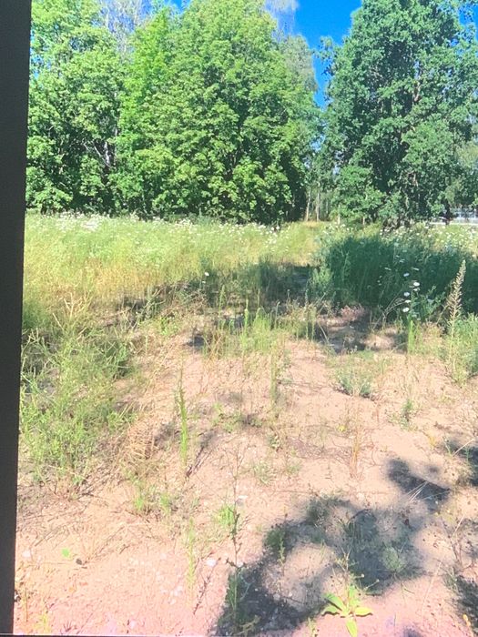 Działka budowlana w Skórzewie nad jeziorem