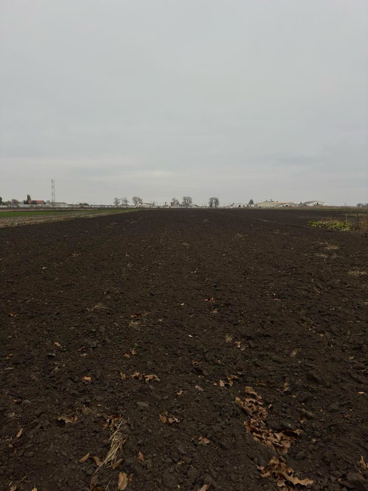 Продам земельну ділянку з будинком(під ремонт) в Узинській ОТГ