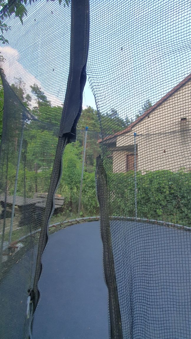 Trampolina 260cm
