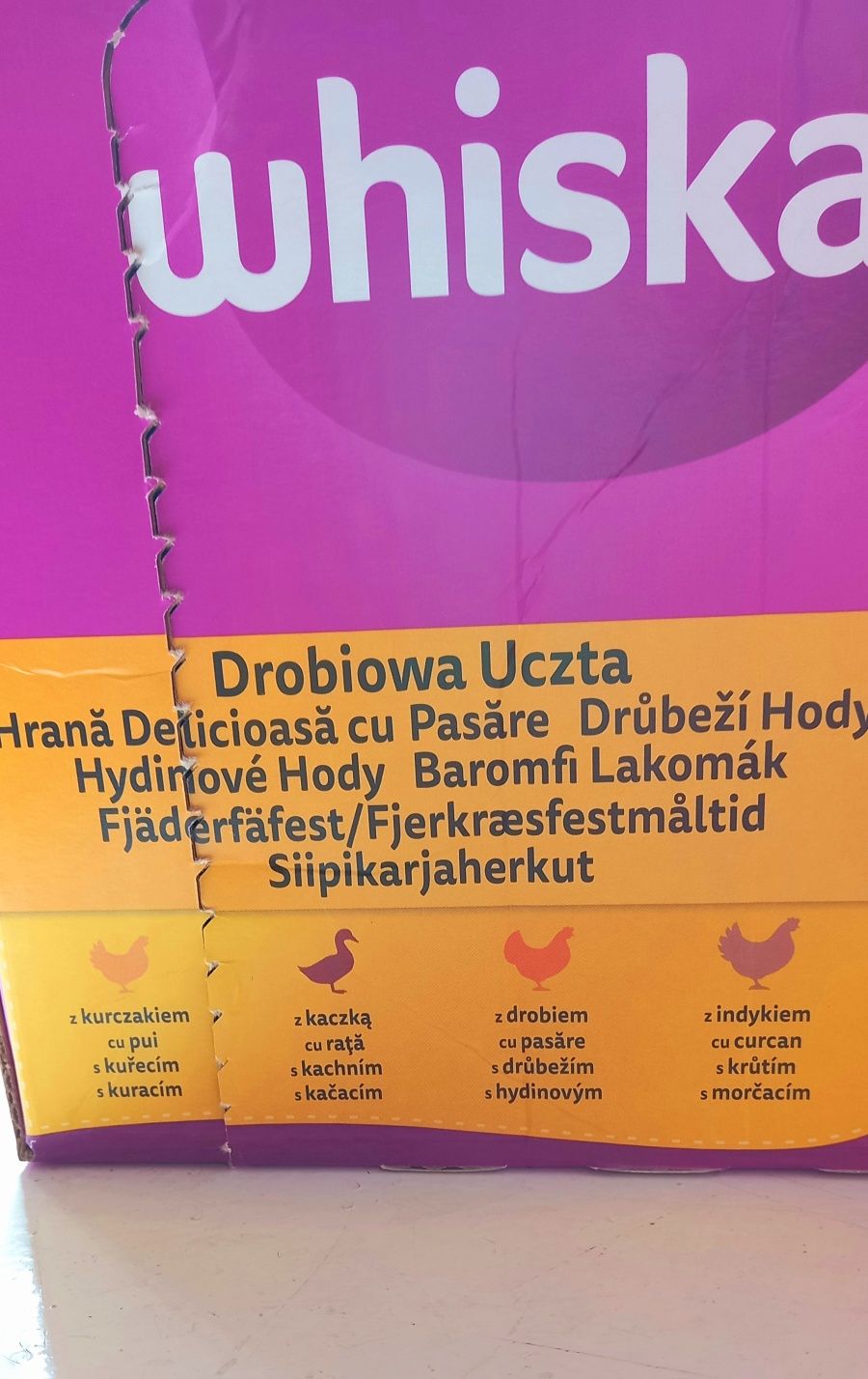 Karma mokra dla kotów dorosłych saszetki w galaretce
