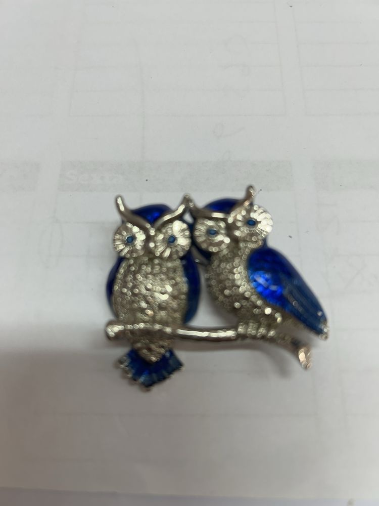 Broche de coruja olho azul