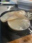 Kombucha scoby + starter
