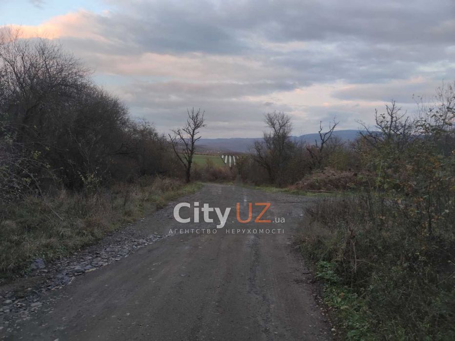 Продається ділянка 2 га в екозоні