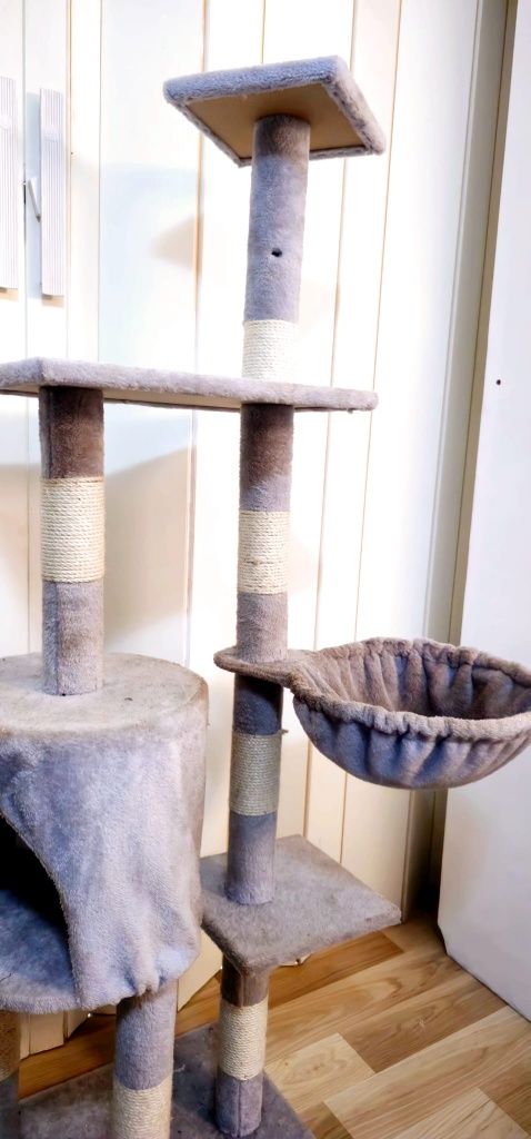 Torre e arranhador para gatos