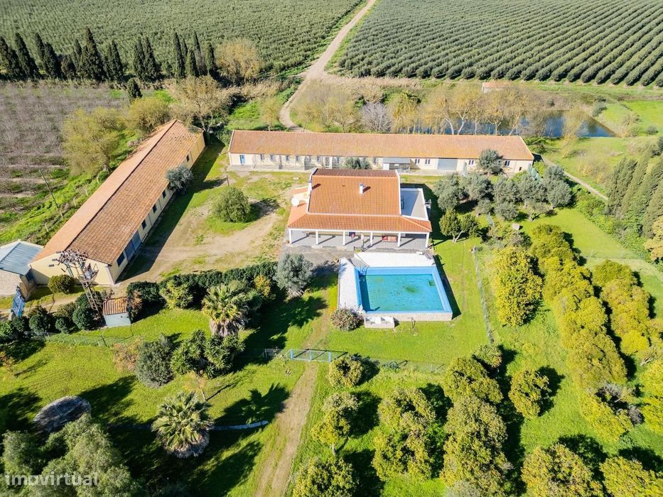 Quinta 2.6 ha, Beja
