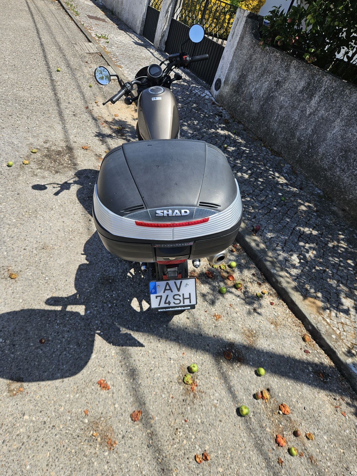 Honda Rebel 500 Special Edition