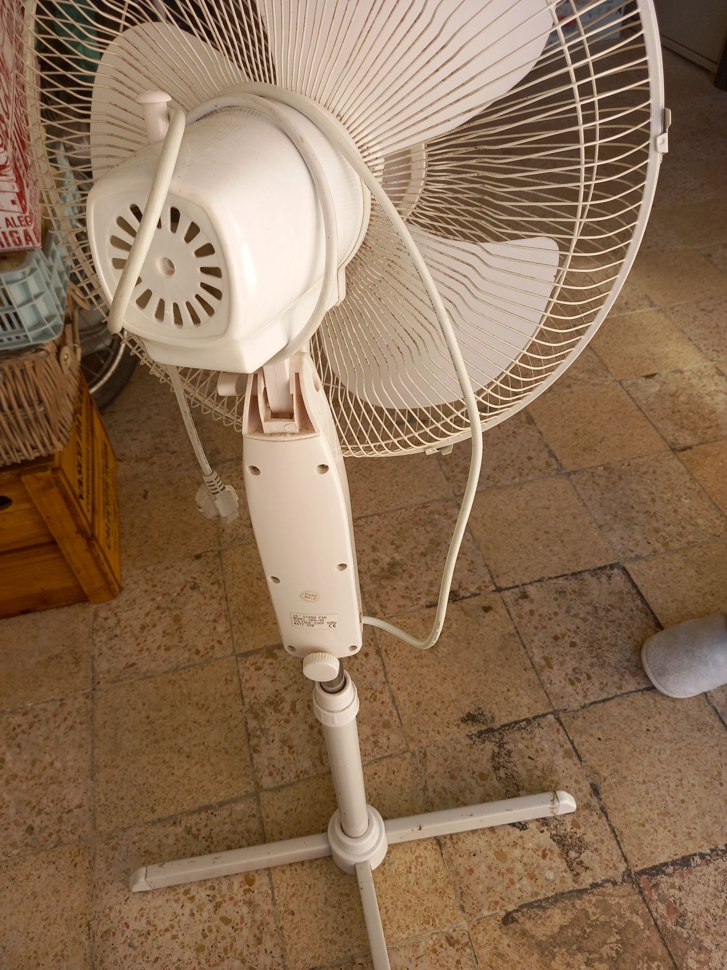 Ventoinha Raydan