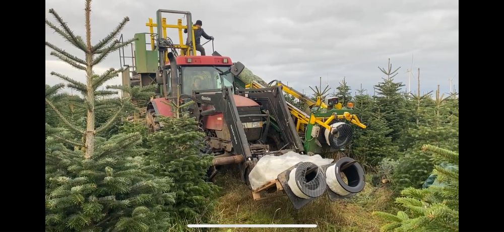 Kombajn do choinek compactree kompletny jodla jodly wycinka choinka
