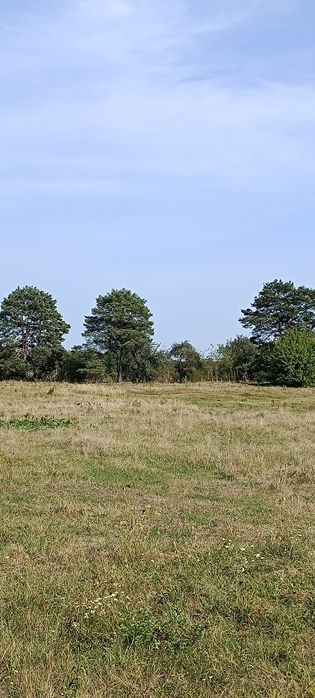 Продам будівлі колишньої ферми.
