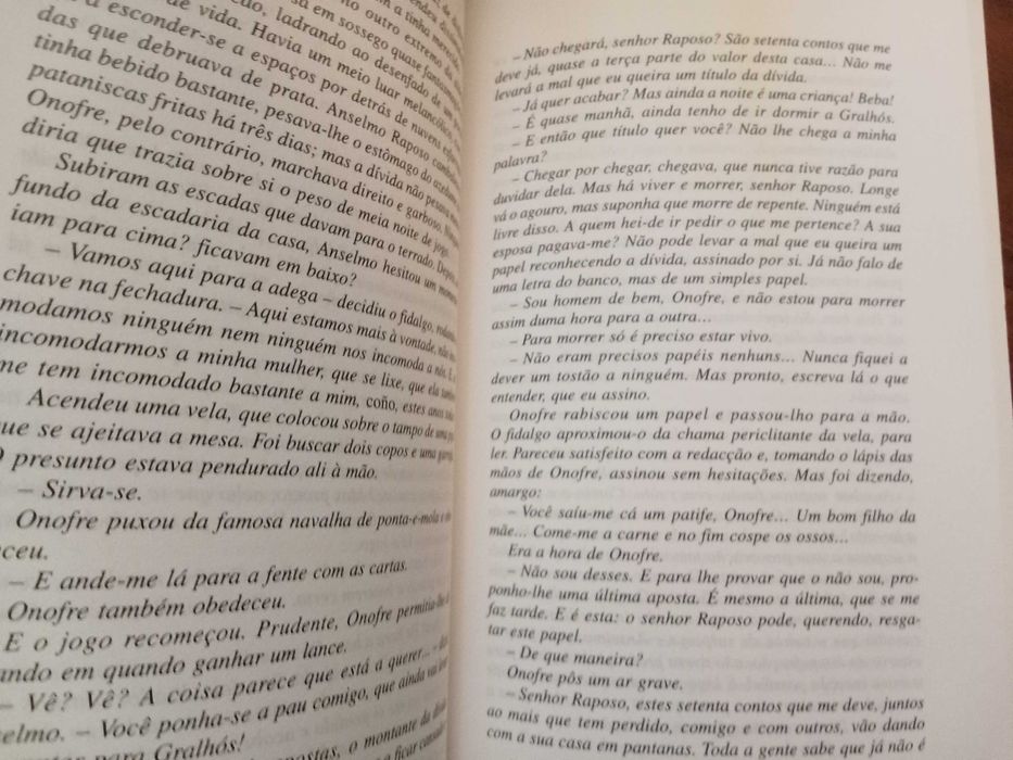 A. M. Pires Cabral - Raquel e o Guerreiro