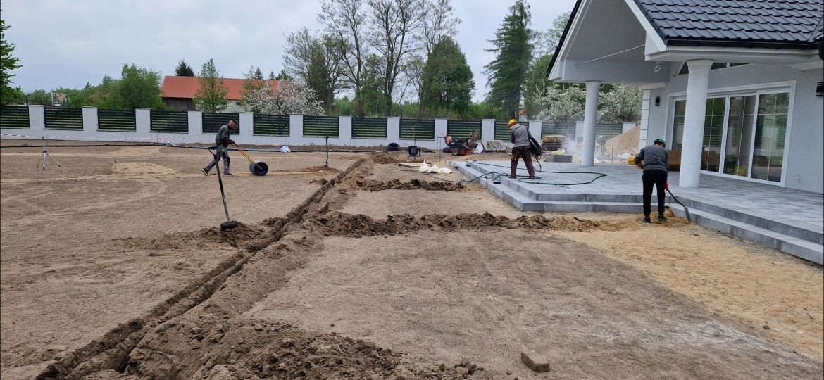 Automatyczne nawadnianie . Trawa z rolki
