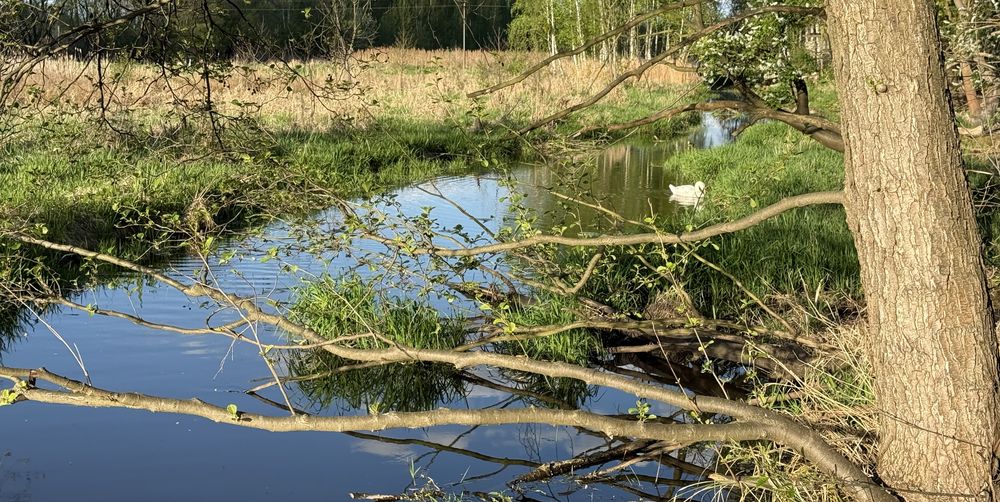 Mieszkanie nad rzeką!