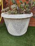 Vasos de Jardim em perfeito estado em pedra - Oferta flores suculentas