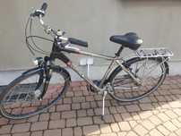 Rower Pegasus Premio
