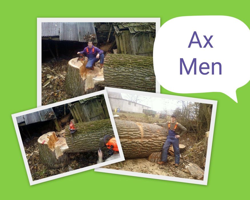 Drwal Pilarz, usługi leśne, wycinka drzew