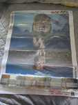 Diamond Painting
