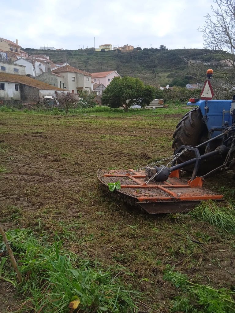 Limpeza de terrenos corte árvore