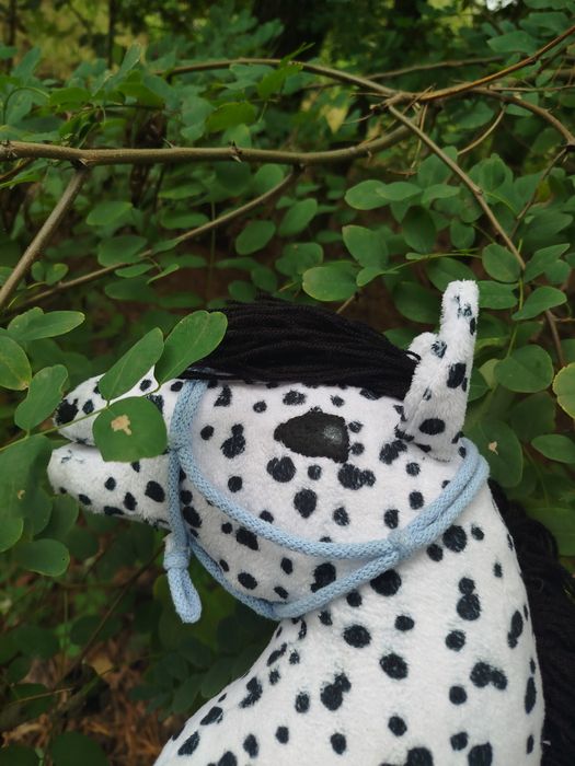 Hobby horse A4 tarantowaty