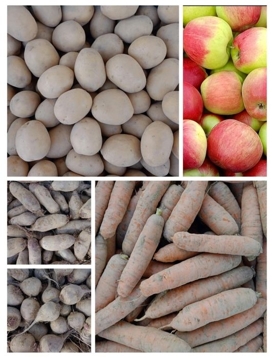 Warzywa i owoce z własnego gospodarstwa