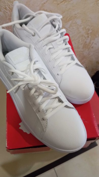 Nowe Buty rozmiar 39 puma