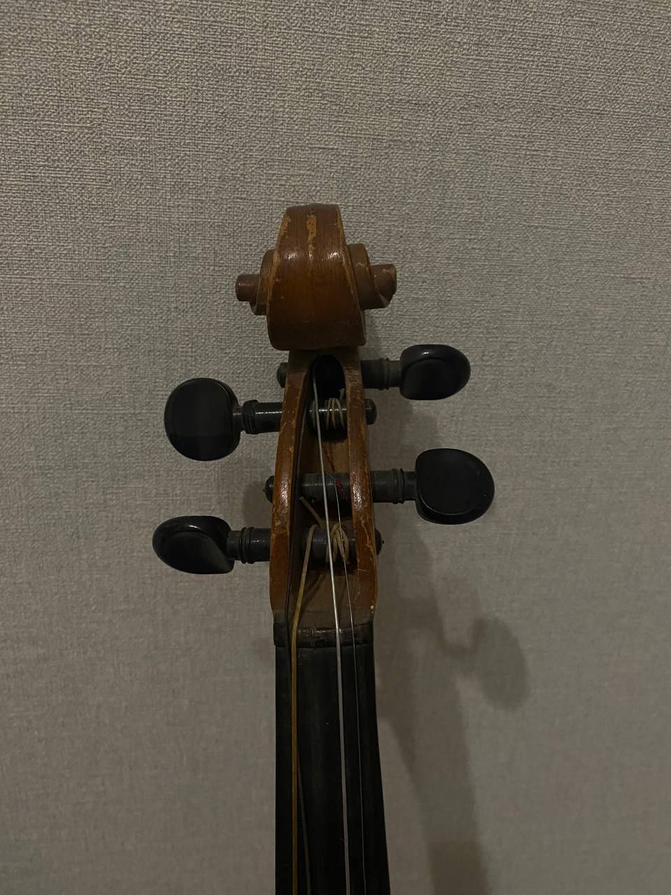 Скрипка та домра