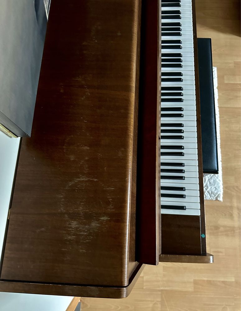 Pianino Calisia (cena do negocjacji)