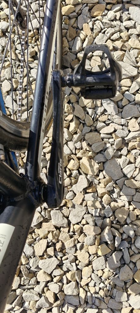 Cube Peloton Claris "L" 60