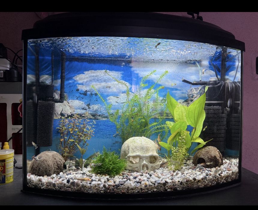 Akwarium z pokrywą 72l