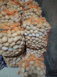 Ziemniaki drobne paszowe 35gr/kg