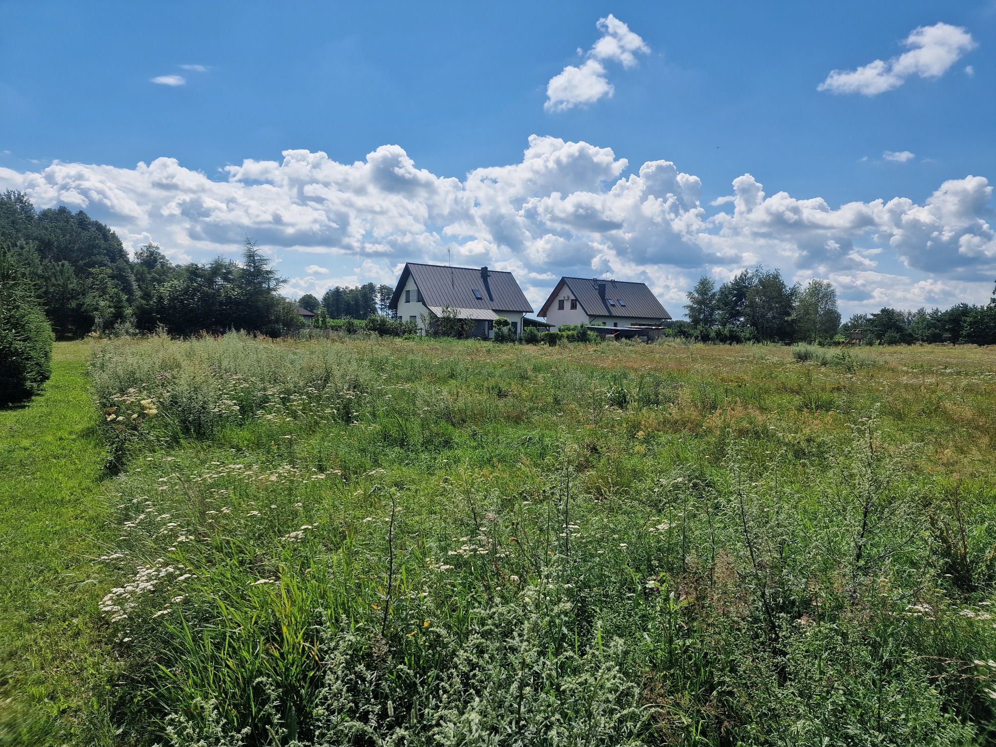 Działka z warunkami zabudowy 3500m2