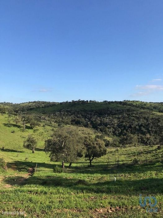 Terreno Agrícola em Safara e Santo Aleixo da Restauração de 8142893,00
