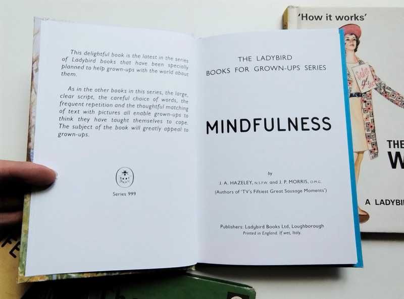English old books Ladybird vintage The Wife Mindfulness The Wise Robin