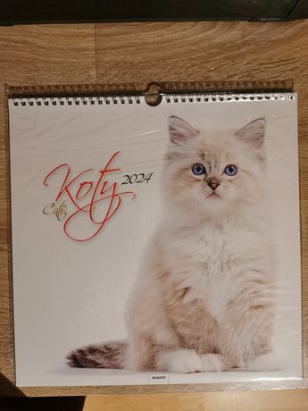 Kalendarz koty cats 2024 na ścianę