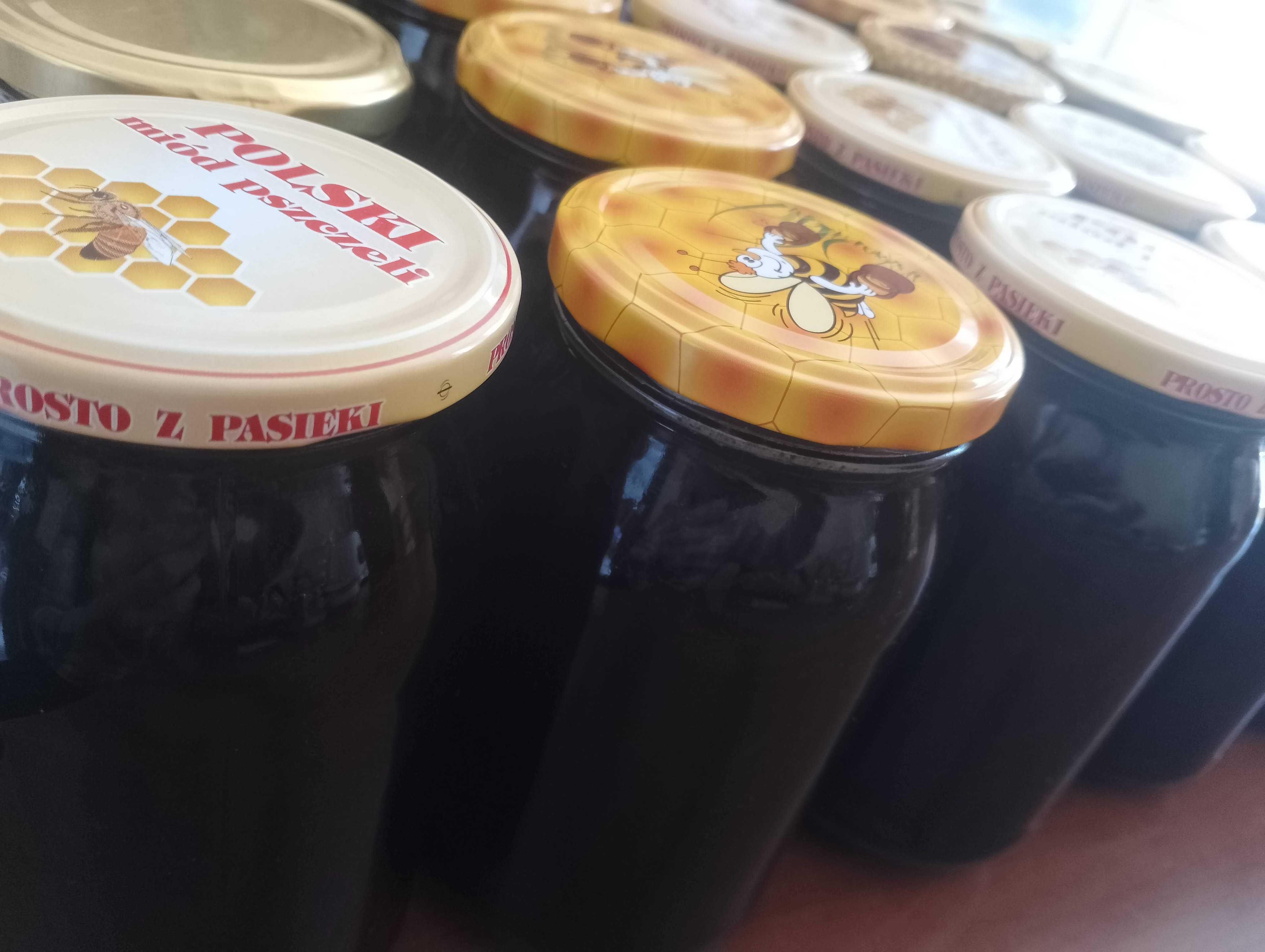 Sprzedam miód spadziowy z własnej pasieki
