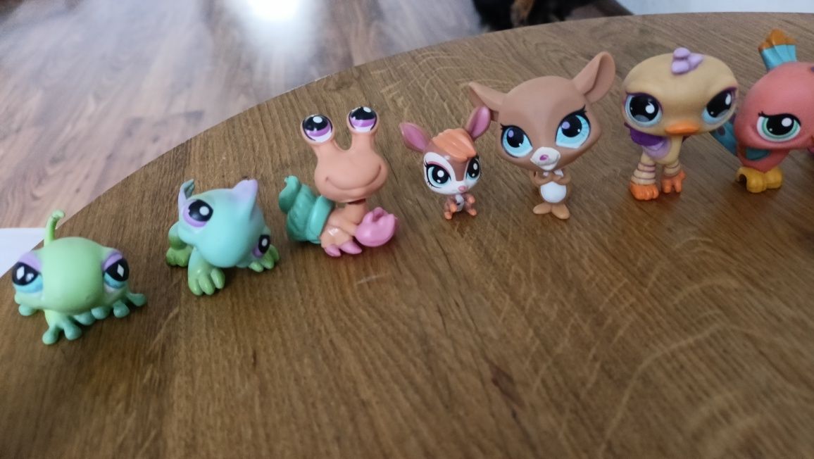 Figurki pet shop