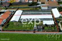 Oportunidade de Investimento em Terreno Urbano nos Arrifes, Ilha de Sã