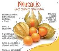 Physalis - Planta physalis, para cultivo - Fisális
